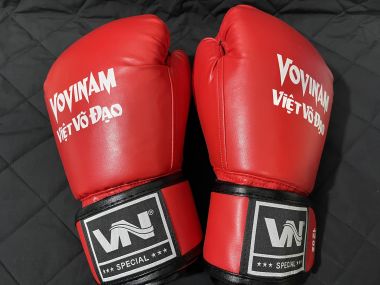 Găng Đấm Vovinam | găng vovinam thi đấu
