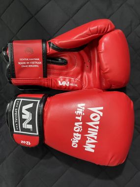 Găng Đấm Vovinam | găng vovinam thi đấu