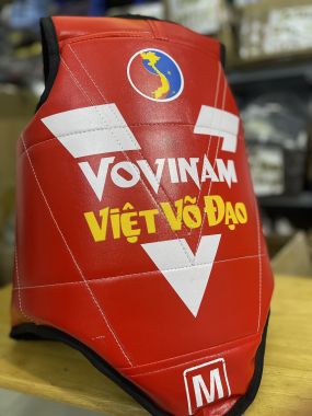 GIÁP VOVINAM MẪU MỚI 2024