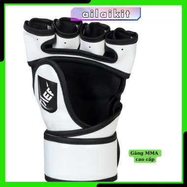 Găng MMA Cao Cấp Hàng Nhập – Đấm Boxing, Mixed Martial Arts Ailaikit