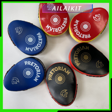 ĐÍCH ĐỠ TAY GẤU ĐÍCH ĐẤM VÕ THUẬT PRETORIAN AILAIKIT | VOVINAM TAEKWONDO BOXING