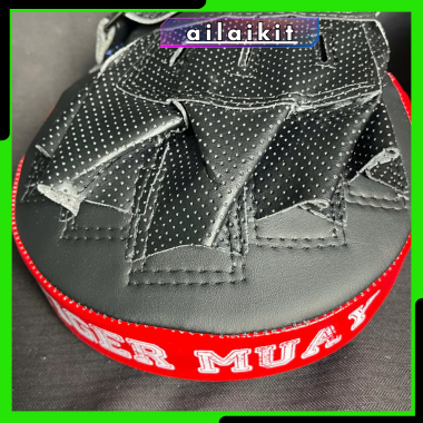 ĐÍCH ĐỠ TAY GẤU ĐÍCH ĐẤM VÕ THUẬT PRETORIAN AILAIKIT | VOVINAM TAEKWONDO BOXING