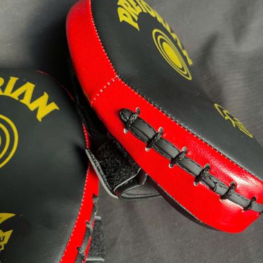 ĐÍCH ĐỠ TAY GẤU ĐÍCH ĐẤM VÕ THUẬT PRETORIAN AILAIKIT | VOVINAM TAEKWONDO BOXING