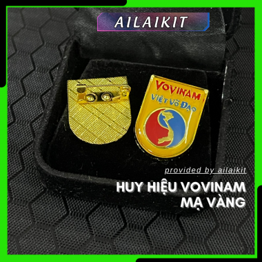 HUY HIỆU VOVINAM MẠ VÀNG | Huy hiệu Vovinam, Phù hiệu Vovinam cài áo mạ vàng cao cấp AILAIKIT