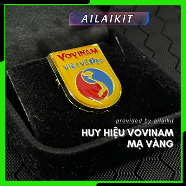 HUY HIỆU VOVINAM MẠ VÀNG | Huy hiệu Vovinam, Phù hiệu Vovinam cài áo mạ vàng cao cấp AILAIKIT