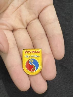 HUY HIỆU VOVINAM MẠ VÀNG | Huy hiệu Vovinam, Phù hiệu Vovinam cài áo mạ vàng cao cấp AILAIKIT