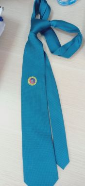 Cà Vạt Vovinam Thêu hoặc IN Logo Môn Phái, CLB Vovinam Ailaikit